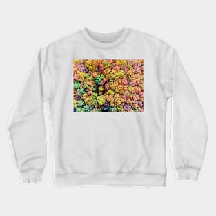 Aerial view of colorful autumn forest Crewneck Sweatshirt